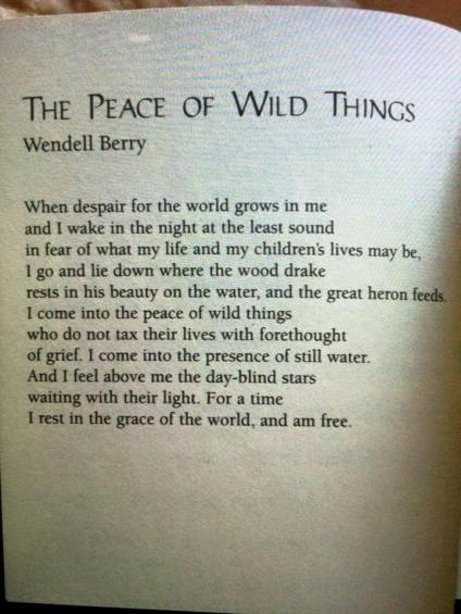 The peace of wild things